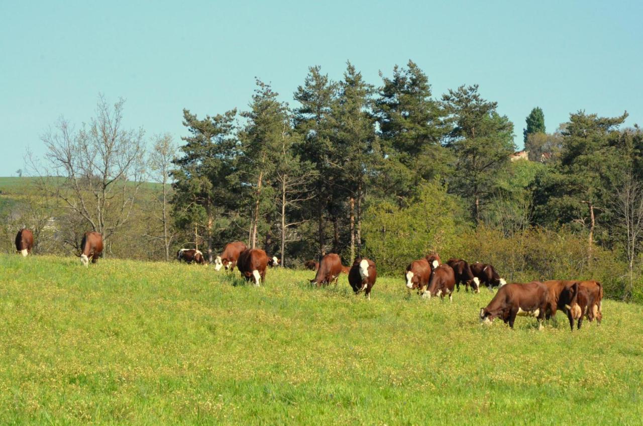 Saint-Sylvestre  Gites A La Ferme De Bacon מראה חיצוני תמונה